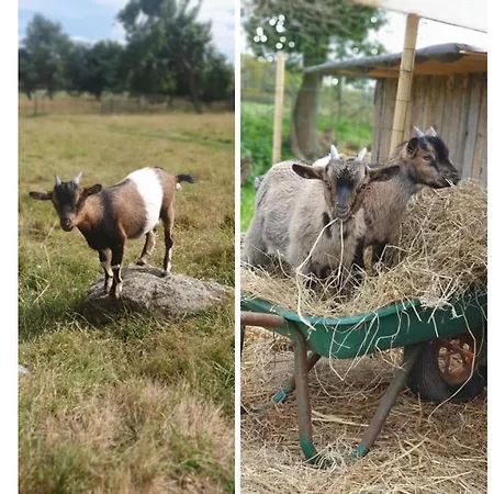 Le Domaine De La Petite Chevre Holiday home